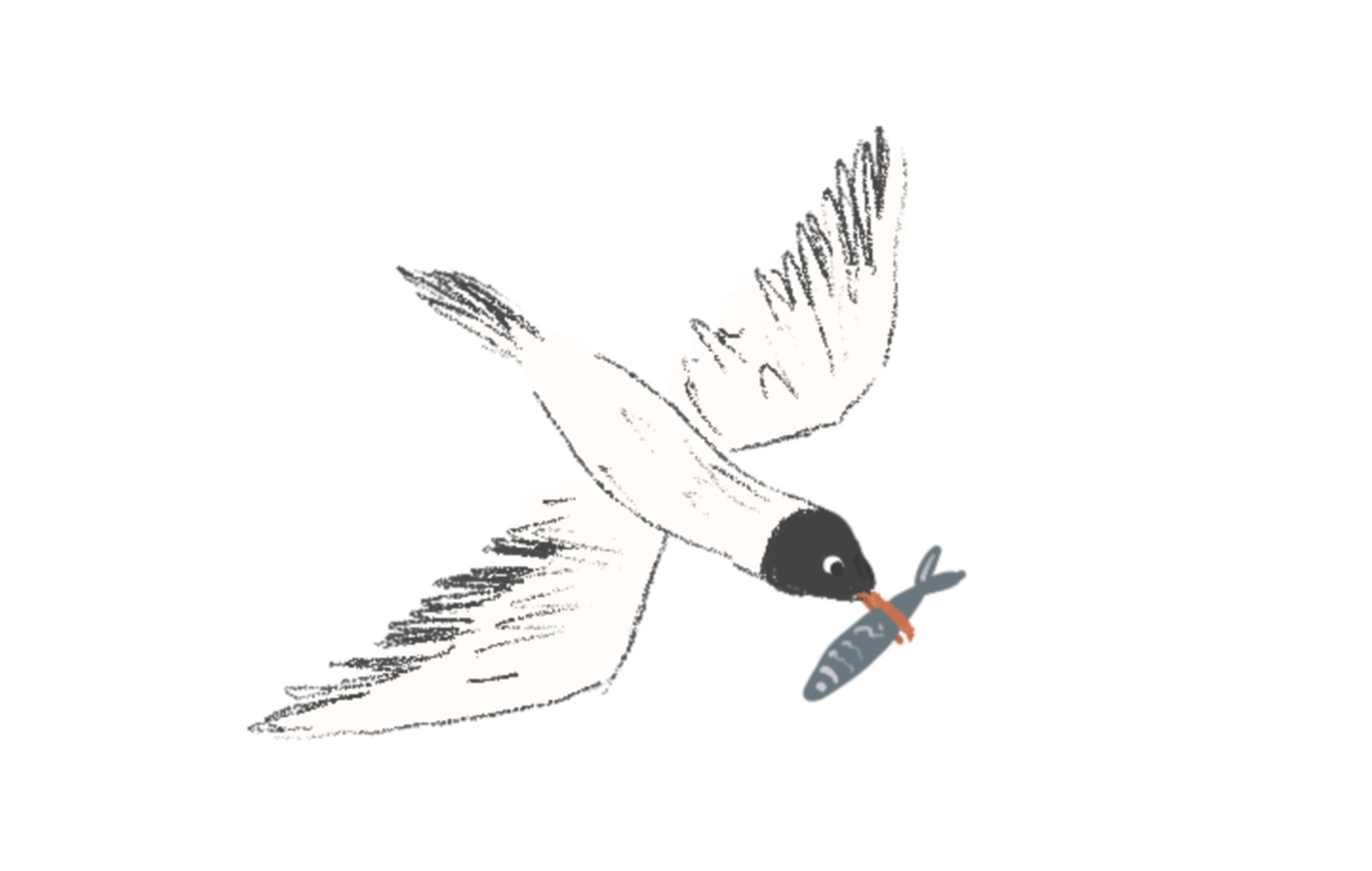 Arctic story illustration