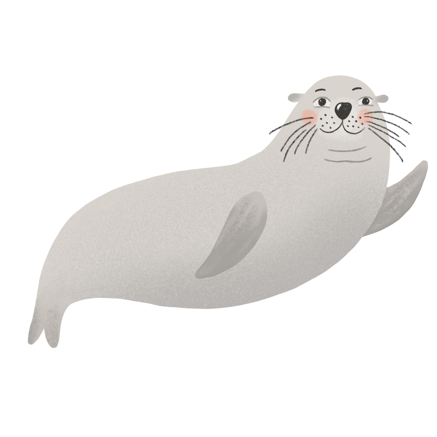 Grey seal — wildlife detail from the world map